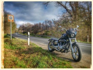Harley 2014 ősz